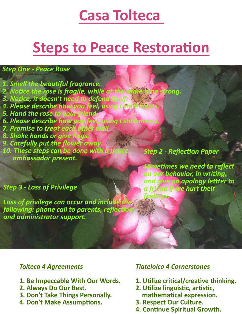 Steps to Peace Restoration
